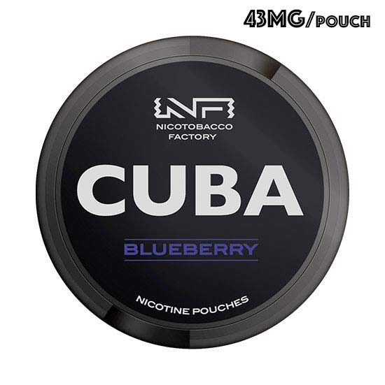 [Premium Quality Tobacco-Free Nicotine Pouches Online]-SNUS GUYS