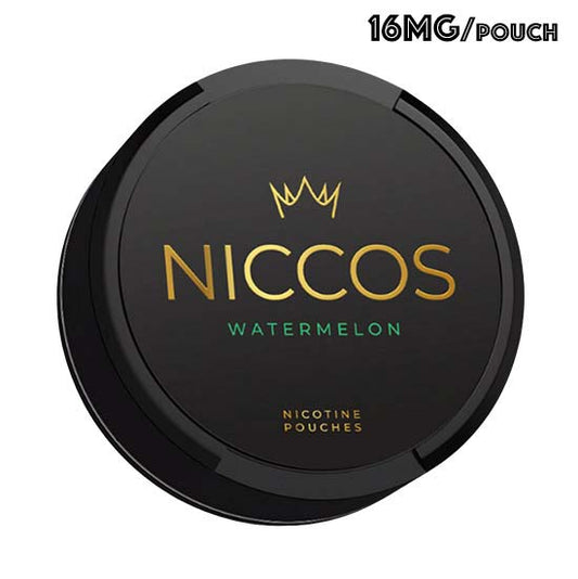 [Premium Quality Tobacco-Free Nicotine Pouches Online]-SNUS GUYS
